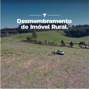 Plantas: imagem 1 de 10