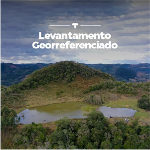 Plantas: imagem 1 de 10