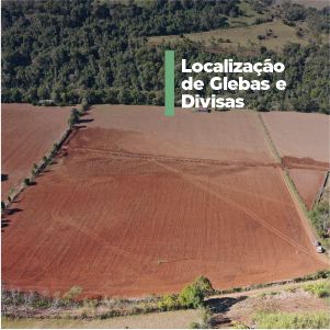 Plantas: imagem 1 de 10