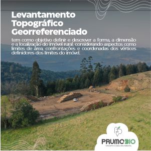 Plantas: imagem 1 de 10